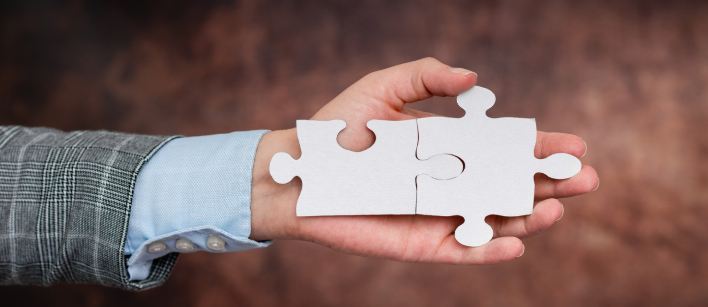 Portfolio background