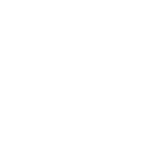 <p>The Payoff of Strategic Transformation and Diversification</p>
